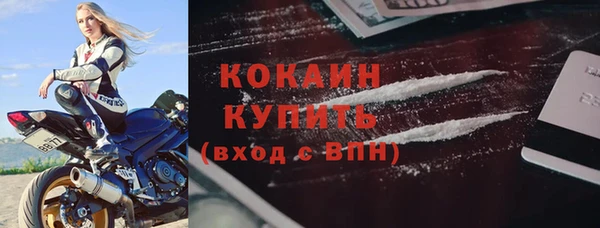 винт Верея