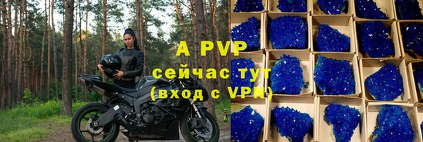винт Верея