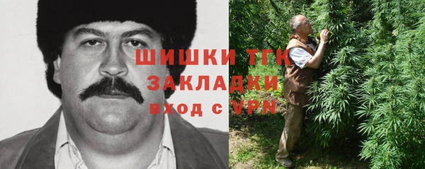 винт Верея
